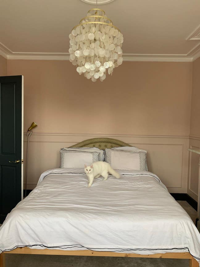 Large Double Room in Modern Victorian House Main Photo