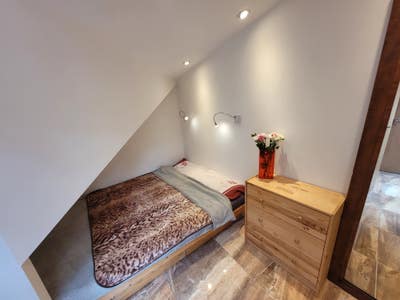 Summer Room Available in Family Home – East Oxford Main Photo