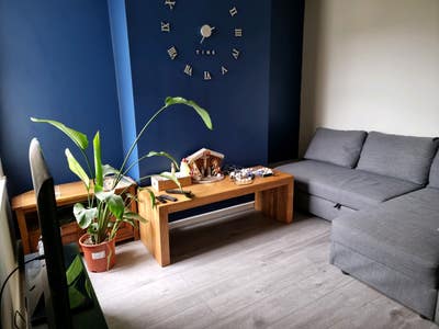 Single room available - Swindon Main Photo