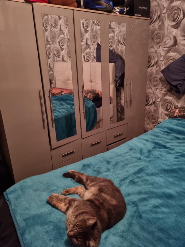 Double room shared amenities  Main Photo