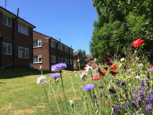 Flat share - Polegate  Main Photo