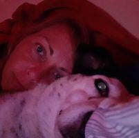 Professional Female seeks house/flat  Main Photo