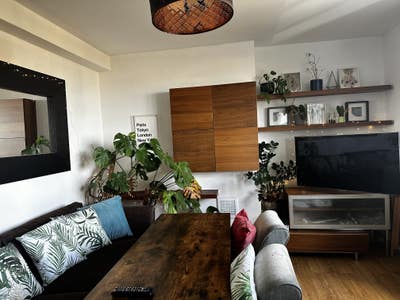 Lovely large room in Stoke Newington Main Photo