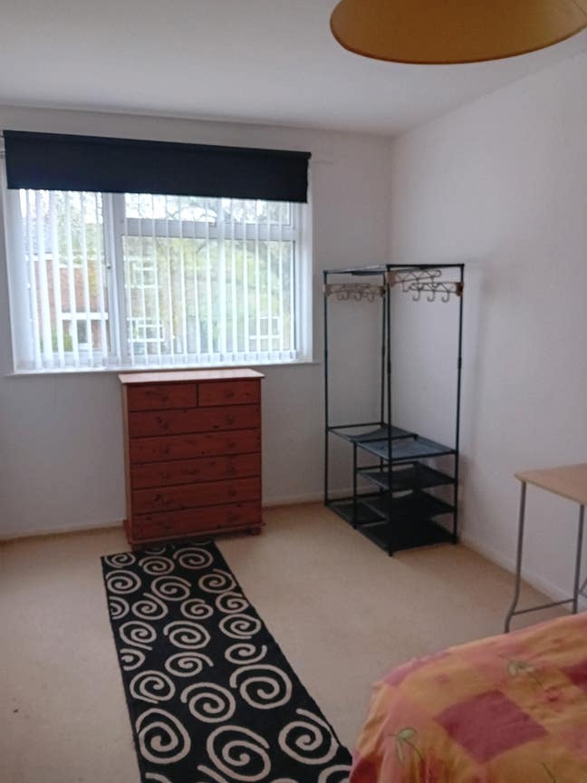 I'm looking for tidy and friendly professional  Main Photo