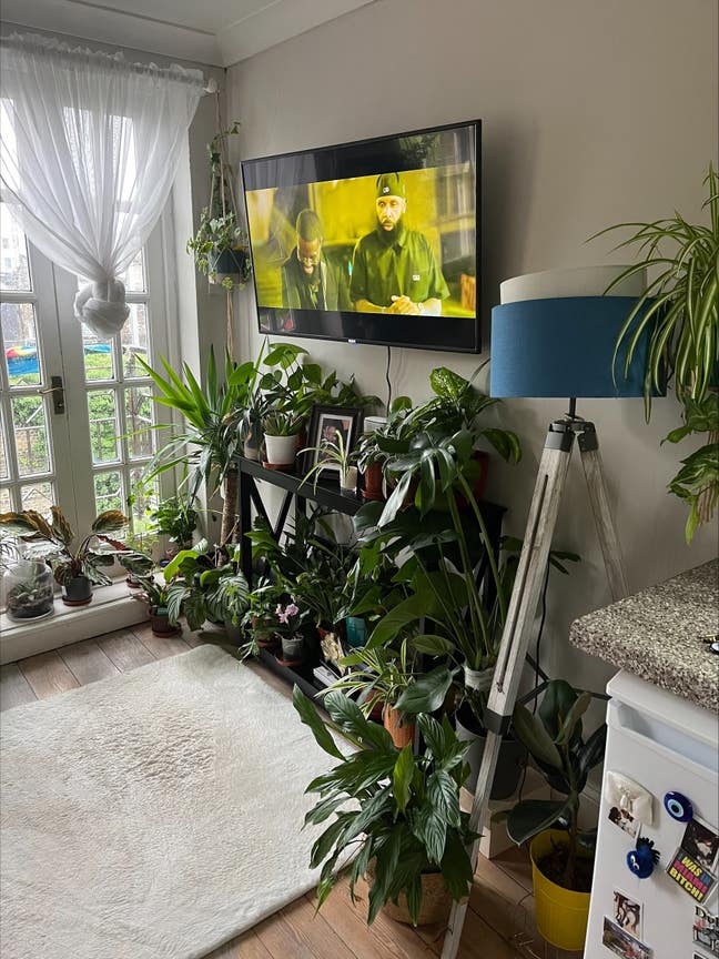 Sublet Whole Apartment in Camden Town Main Photo