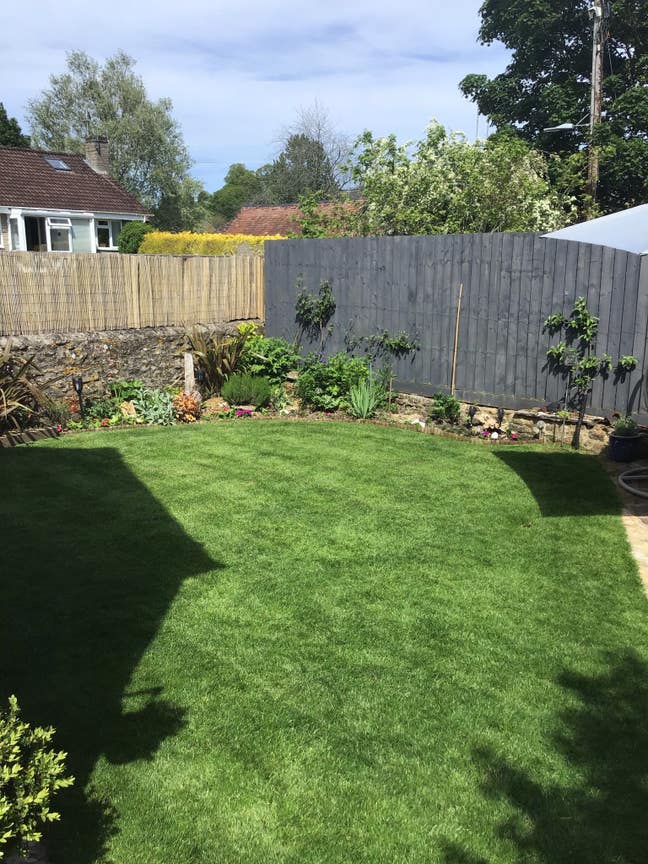 Room in Beautiful Cottage Main Photo