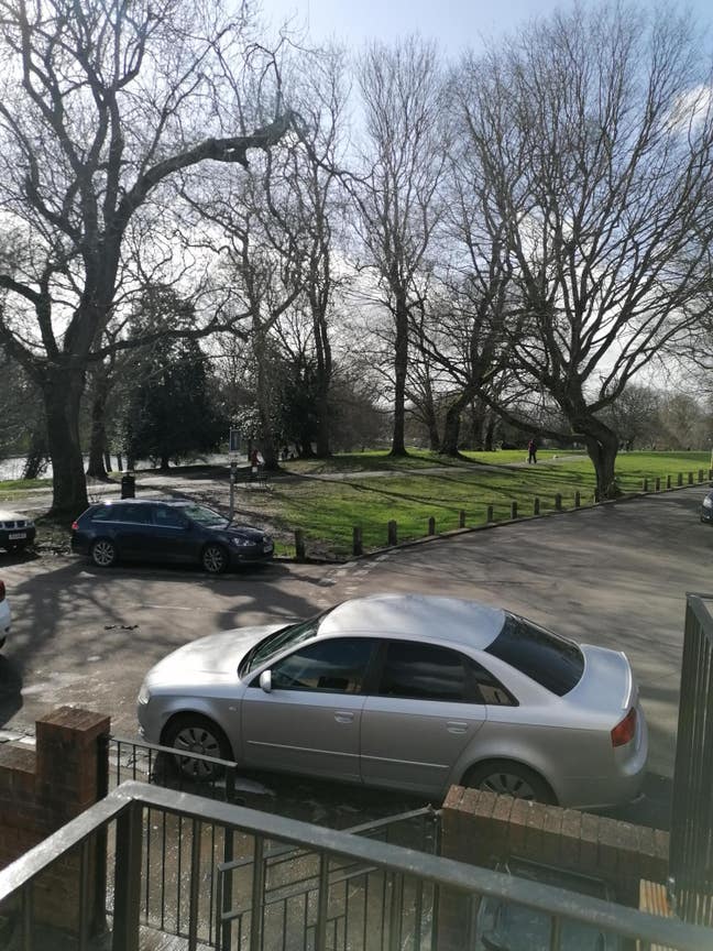 Beautiful parkside apartment Main Photo