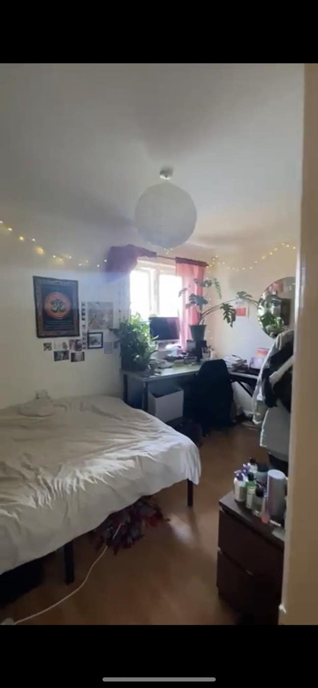 Double room in cosy flat Main Photo