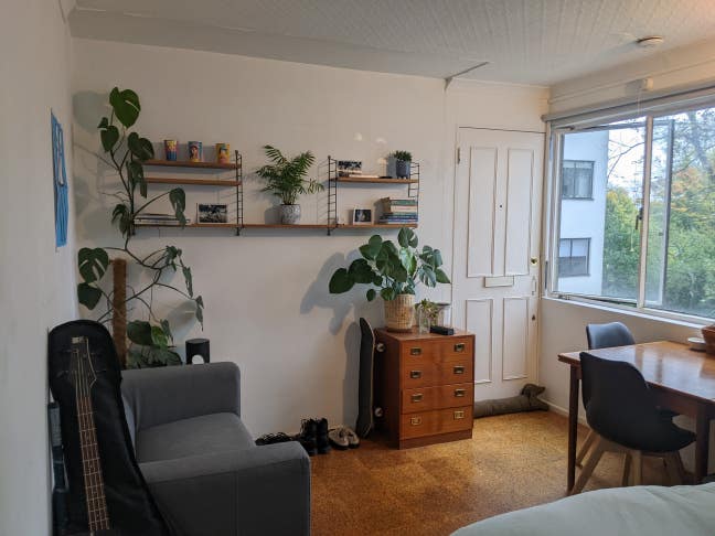 Studio apartment sublet in Highgate, London N6 Main Photo
