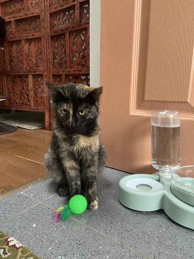 Double bedroom wanted !  Main Photo