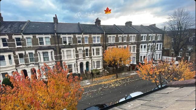 1 Bed Victorian Flat - 2 Months - All included Main Photo