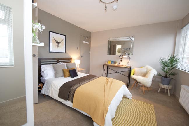 Double Room + Ensuite 🌟 Great Location 🌟 Main Photo