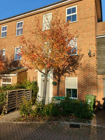 Single room - Duxford/Heathfield  Main Photo