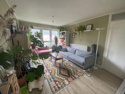 Short Term- 1St Dec to 31St Jan- Victoria Park E3 Main Photo