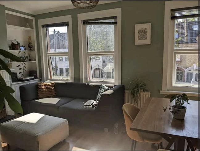 Entire sunny flat in trendy Waltham forest Main Photo