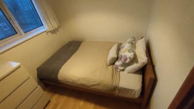 Sunny Single Room to Let - East Acton Main Photo