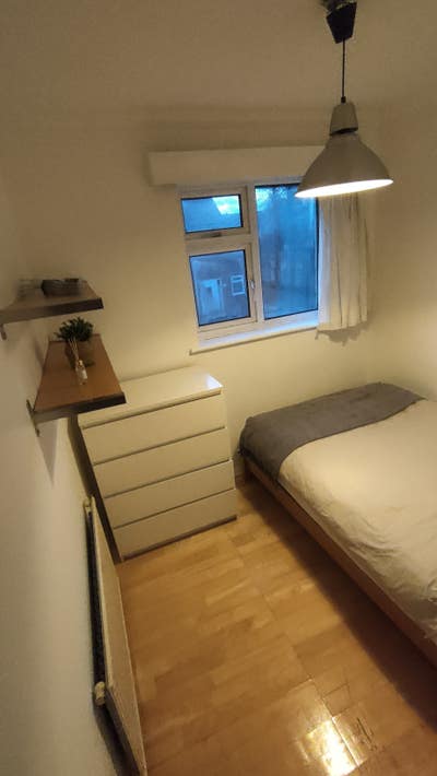 Bright Single Room Available in Professional House Main Photo