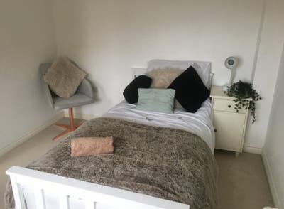 Large single room available  Main Photo