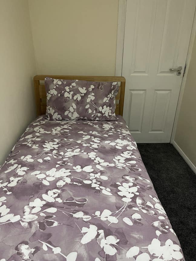 Single room for professional female               Main Photo