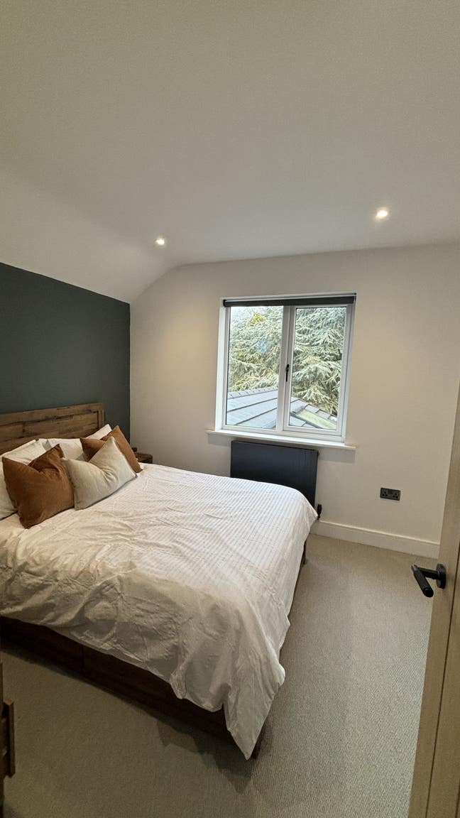 Room for rent Willington Main Photo