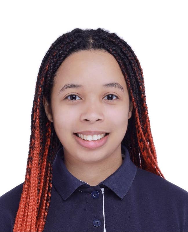 Professional looking for room to rent Main Photo