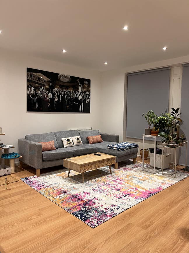 Cosy Double Room Available in Friendly Flat Main Photo