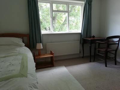 Large sunny single room in quiet home. Main Photo
