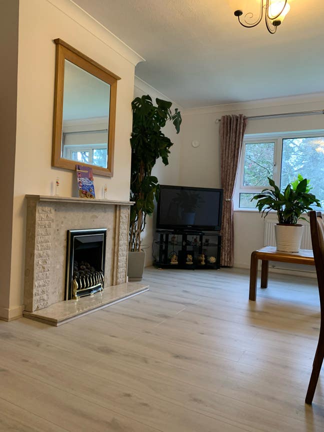 Looking for a Flatmate  Main Photo