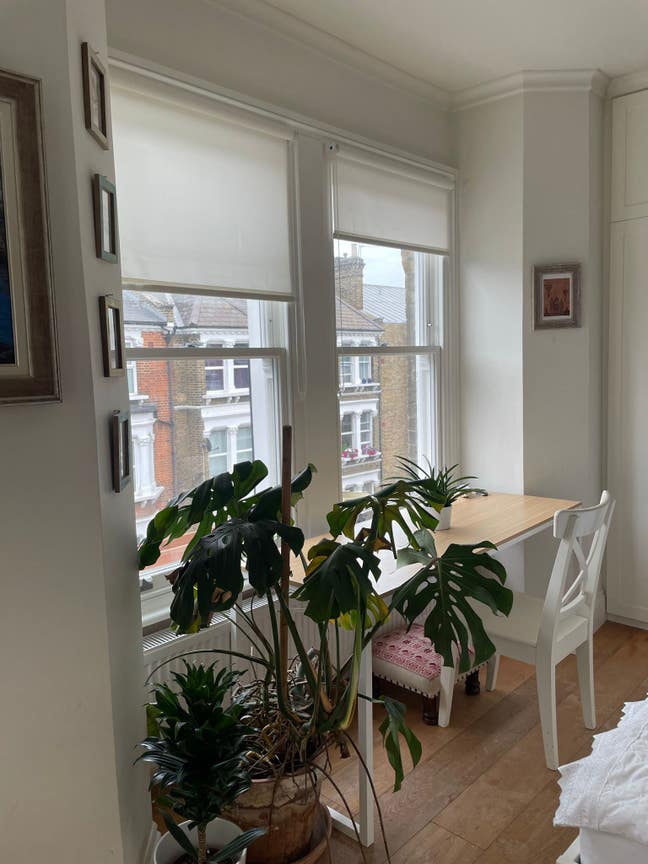 A big master bedroom available in Kennington Main Photo