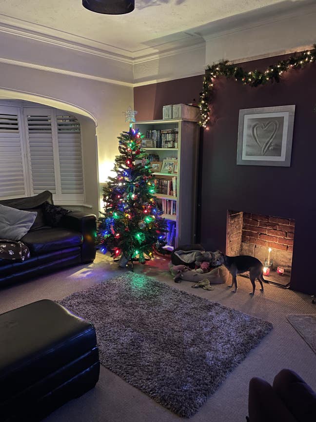 Queen’s Park Double Room with garden view   Main Photo