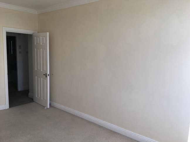 Immaculate Apartment Available Immediately Main Photo