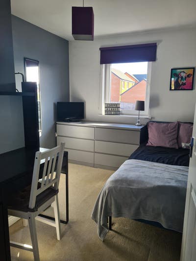 Single Room Available  Main Photo