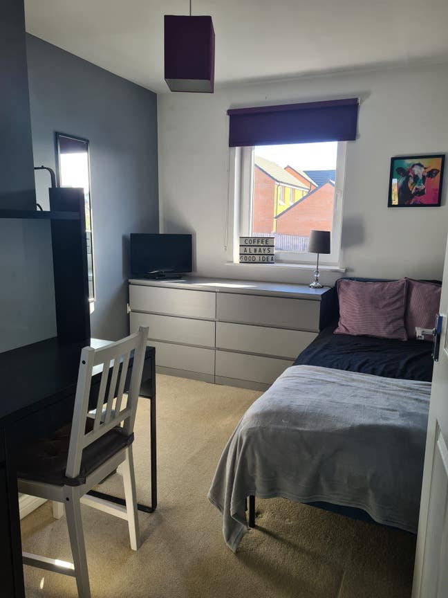Single Room Available  Main Photo
