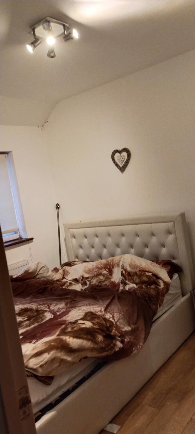 Double Room  for 2 girls/boys,couple/family  Main Photo