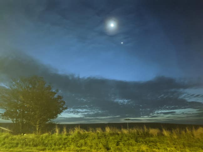 Professional man looking for a friendly place Main Photo