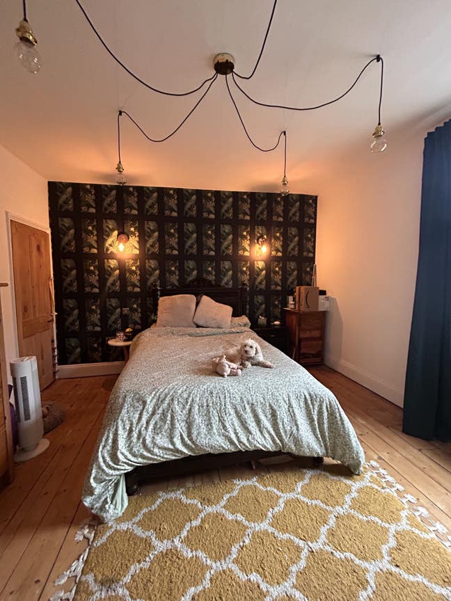 Vegan househare in Bedminster Main Photo