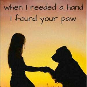 Desperate for somewhere to accept me and my dog Main Photo