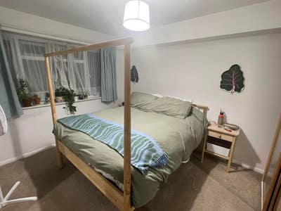 Spacious Double Room in Friendly Flat Main Photo