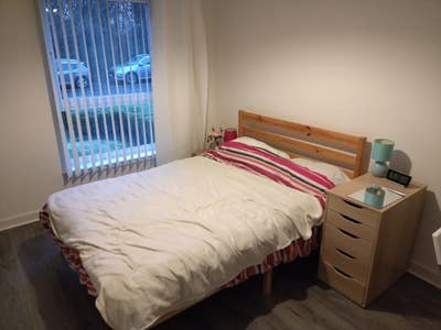 Double room in modern flat, east end  (bills inc) Main Photo