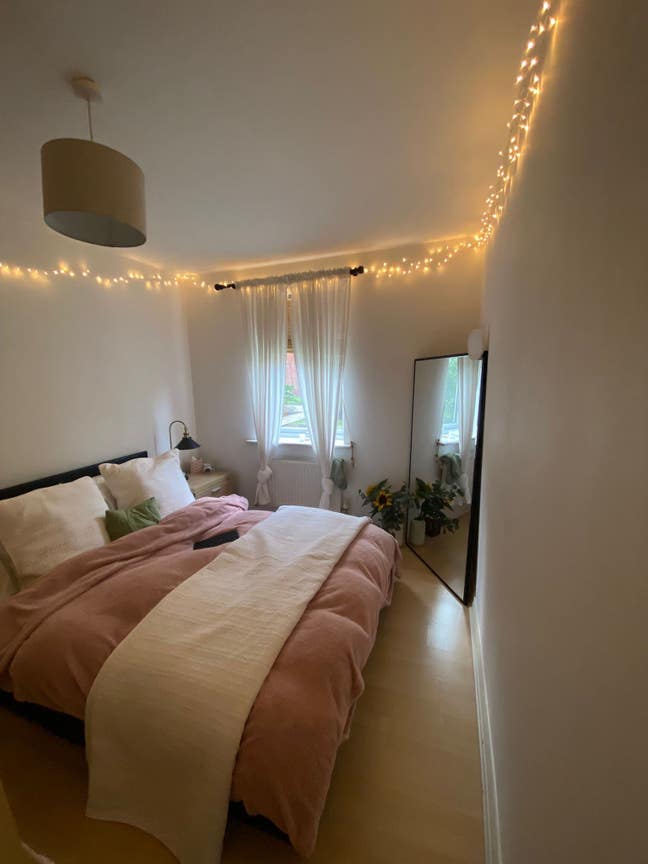 Looking for a fun, friendly housemate!  Main Photo