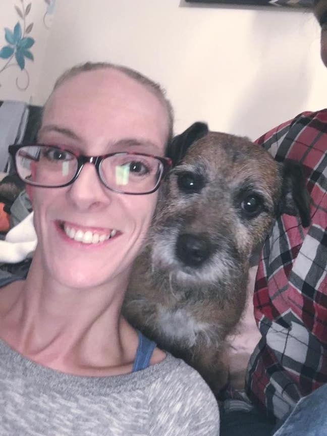 Female with small dog looking for a room or share  Main Photo