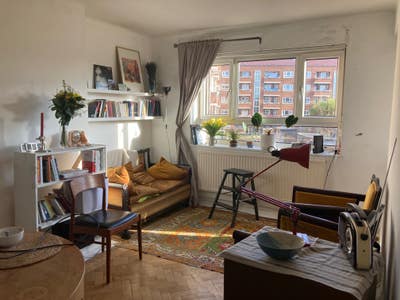 Cosy Stoke Newington Home - excellent location Main Photo