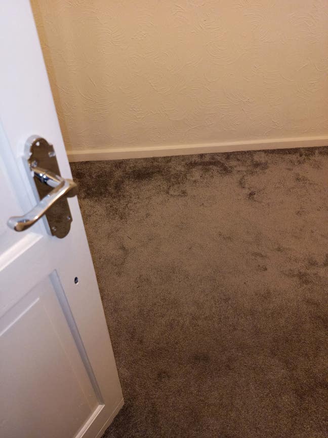 Spare Room Available Main Photo