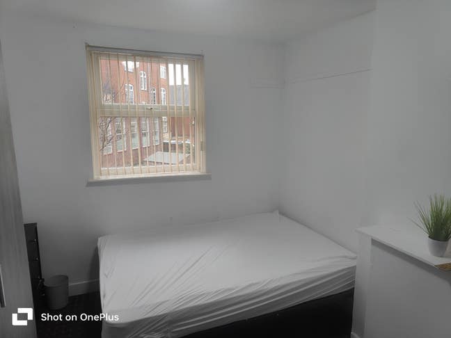  Amazing Room in Central Location  Main Photo