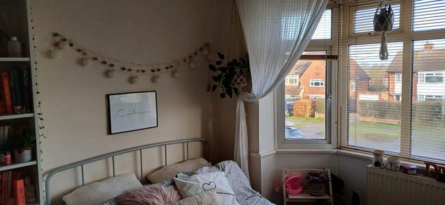 Large double  Main Photo