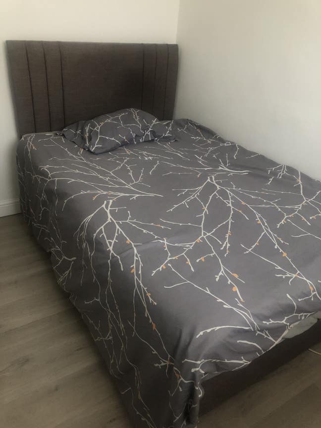 Single room to let Main Photo