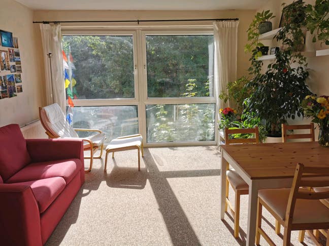 Quiet double room w/ en-suite near Highgate tube  Main Photo