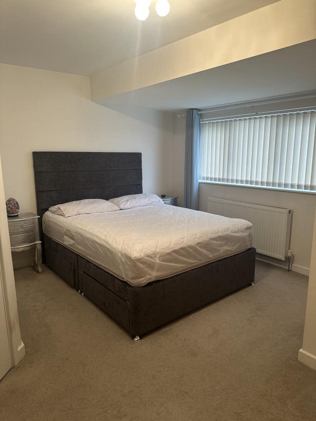 Looking for a Professional Individual house share Main Photo