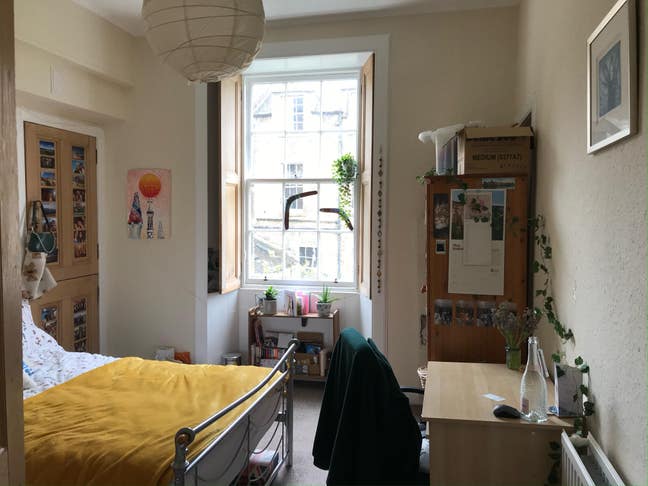 Lovely queer flat near the meadows needs YOU! Main Photo