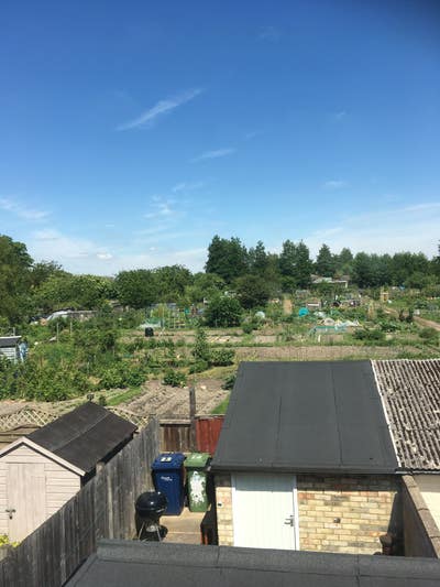 3-bedroom house nr.mill road, available 1st of Sep Main Photo